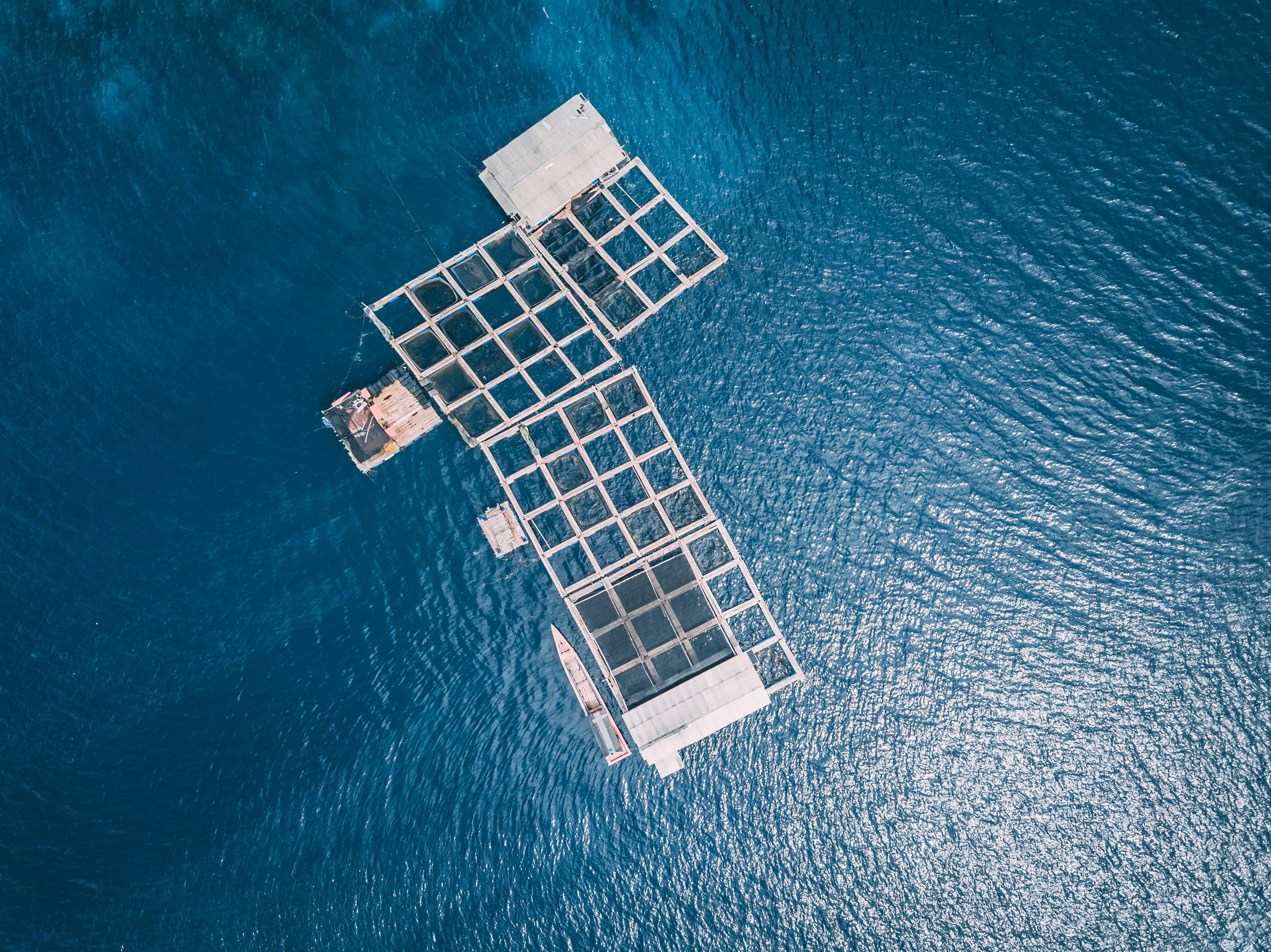 aerial photography of body of water during daytime